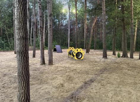​На площадке для собак в парке «За Саймой» в Сургуте появилось освещение