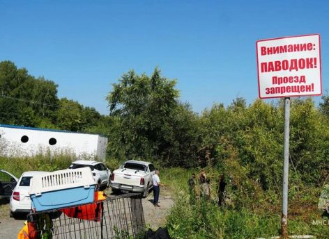 ​В Тюмени срочно набирают волонтеров для борьбы с паводком: власти заявили о критической ситуации