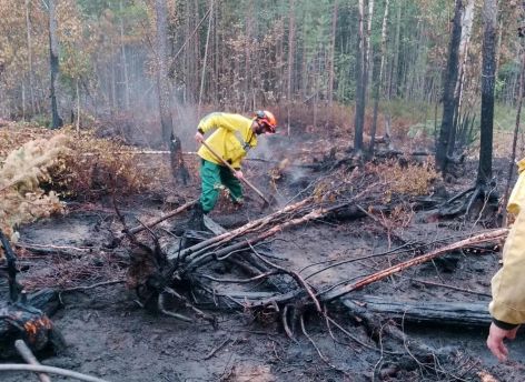 В Югре впервые за два месяца нет ни одного лесного пожара